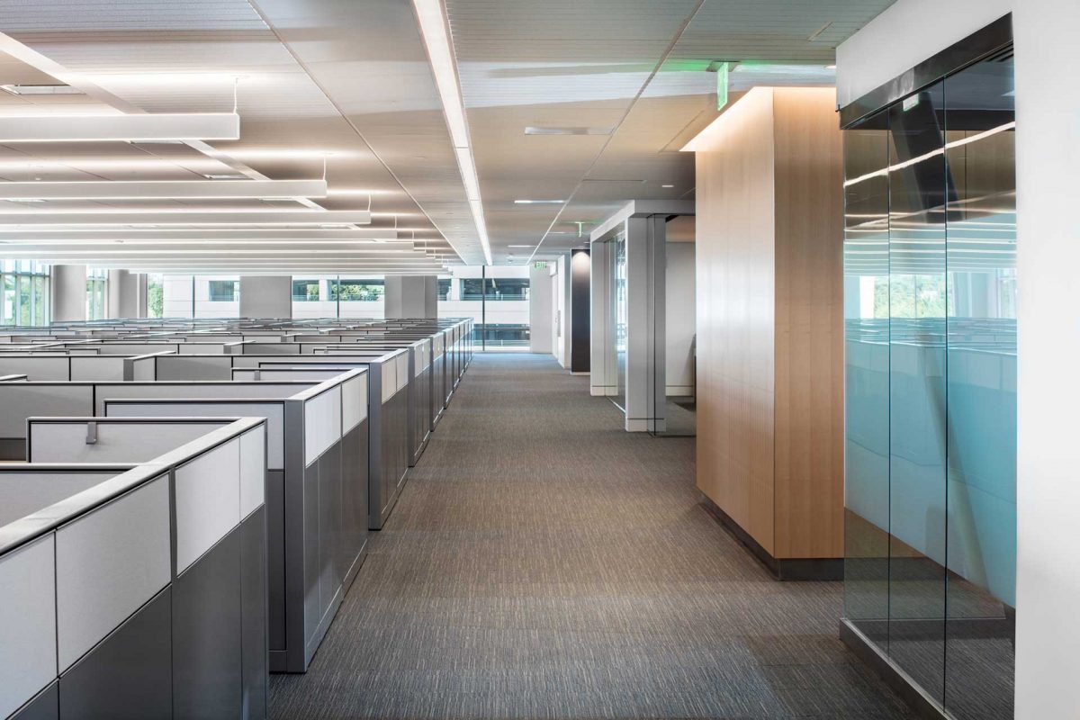 Riata Vista (Apple) - Austin, TX 3