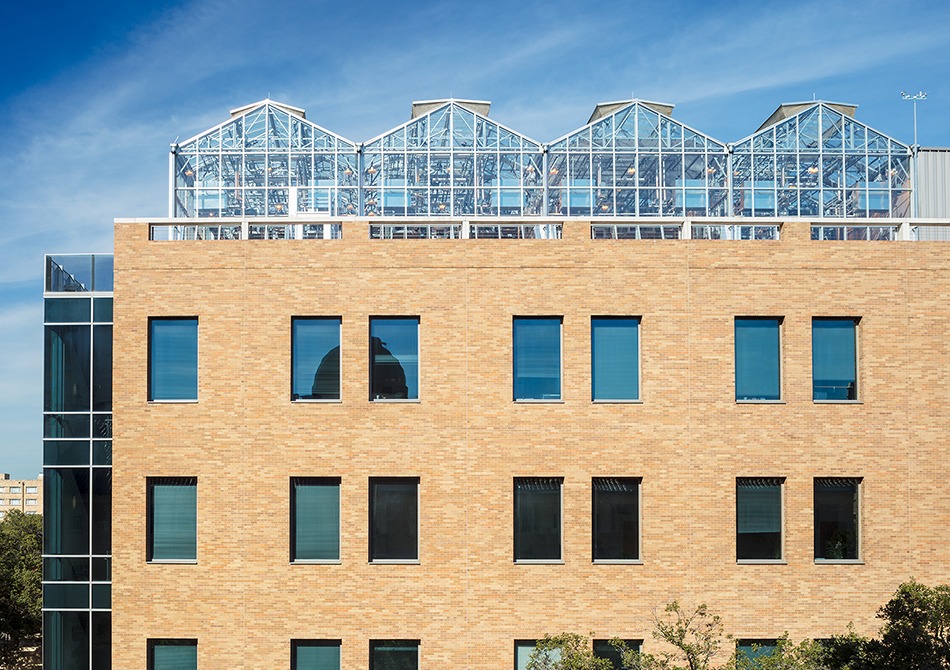 UT Greenhouse - Austin, TX 1