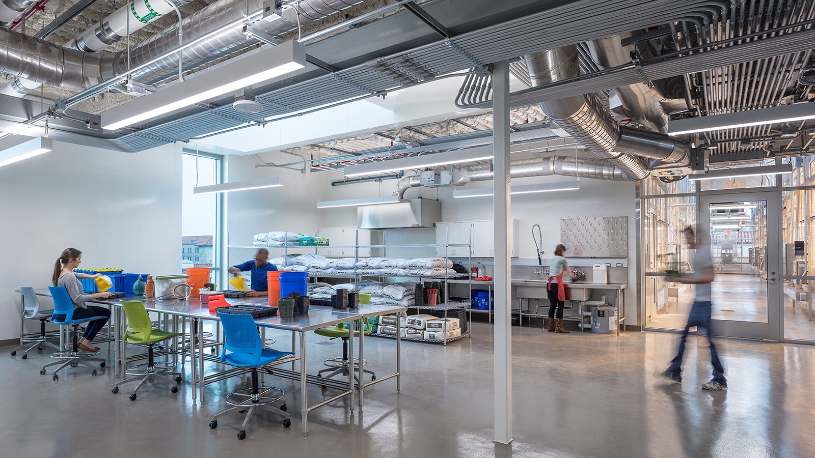 UT Greenhouse - Austin, TX 2